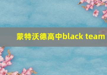 蒙特沃德高中black team